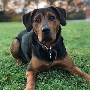 Meet your Posher, Mark